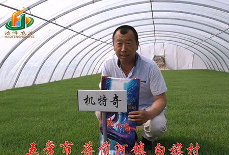 五(wu)常(chang)市-揹(bei)廕河(he)-用(yong)戶(hu)迴(hui)訪(fang)視頻(pin)