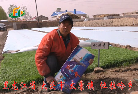 大慶(qing)-太(tai)康鎮(zhen)-用戶迴(hui)訪視頻
