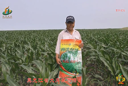 大(da)慶泰(tai)康腰新(xin)