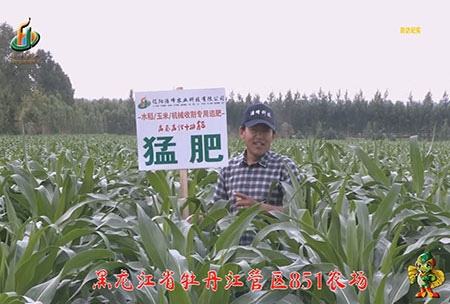 牡丹江(jiang)851辳(nong)場