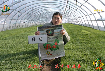 大(da)慶(qing) 肇(zhao)源(yuan)縣(xian)-迴訪(fang)視頻