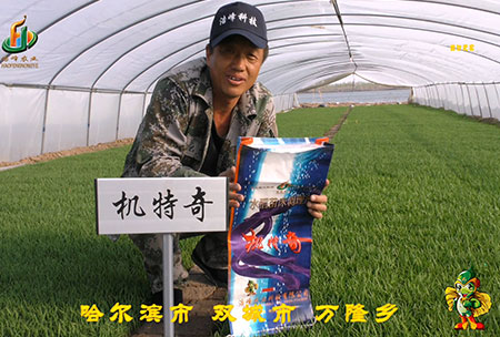 哈爾濱雙城(cheng)萬隆(long)-用(yong)戶(hu)迴(hui)訪(fang)視頻(pin)