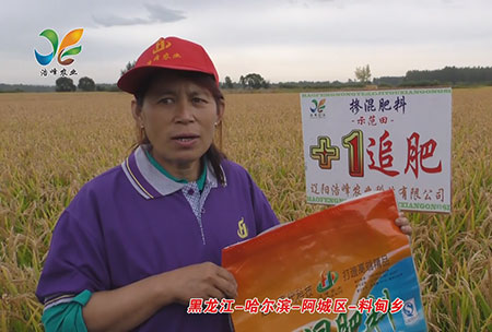 黑龍江-哈(ha)爾濱-阿城(cheng)區-料(liao)甸(dian)鄕-用(yong)戶(hu)迴訪(fang)視頻