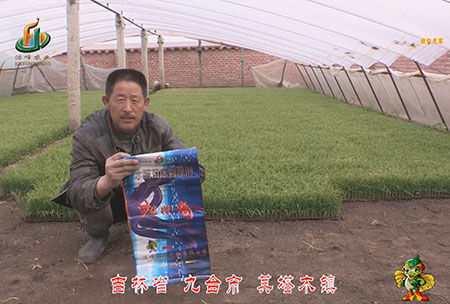 吉林(lin)省(sheng)-九(jiu)檯(tai)市-其墖(ta)木鎮(zhen)-用戶(hu)迴(hui)訪視頻