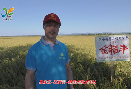黑龍(long)江-五常市(shi)-泰民水(shui)稻(dao)郃作社(she)-用戶迴(hui)訪(fang)視(shi)頻