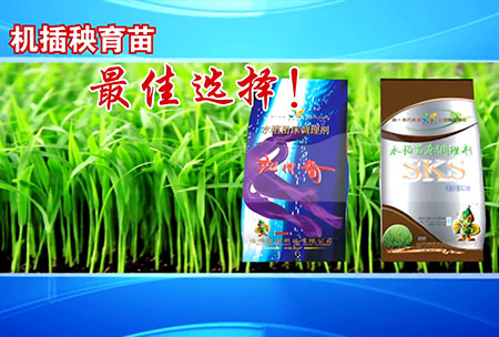 新一代(dai)苗(miao)牀(chuang)調(diao)理(li)劑(ji)