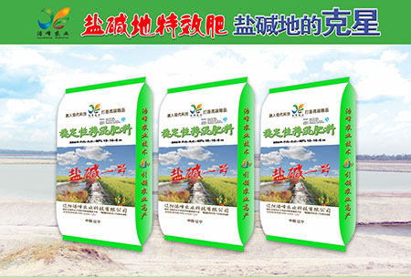 鹽(yan)堿(jian)地專用功能(neng)肥
