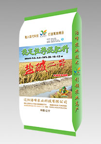 鹽(yan)堿(jian)二(er)號(hao)（水(shui)稻(dao)）