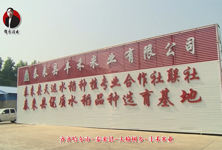 泰來(lai)縣-大榆(yu)樹(shu)鄕(xiang)-豐(feng)禾米(mi)業