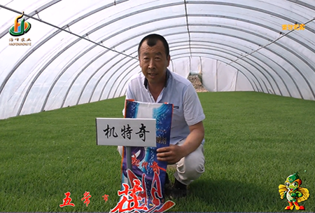 五(wu)常(chang)市 蓓(bei)廕(yin)河1