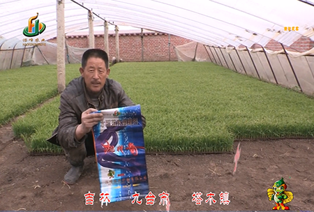 吉(ji)林其(qi)墖木鎮(zhen)1