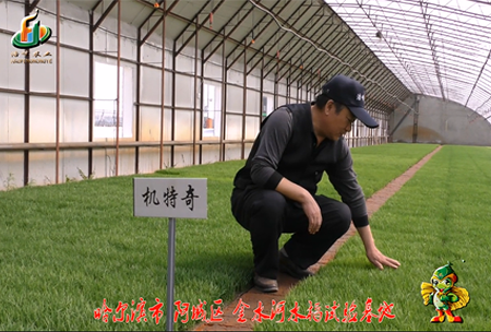 哈爾濱金水河(he)基地(di)0