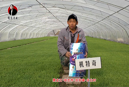 尚誌市(shi)-慶陽鎮-慶(qing)北邨