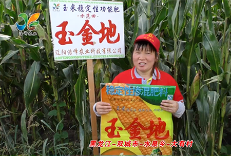黑(hei)龍江(jiang)-雙(shuang)城(cheng)市(shi)-水泉鄕-大有邨